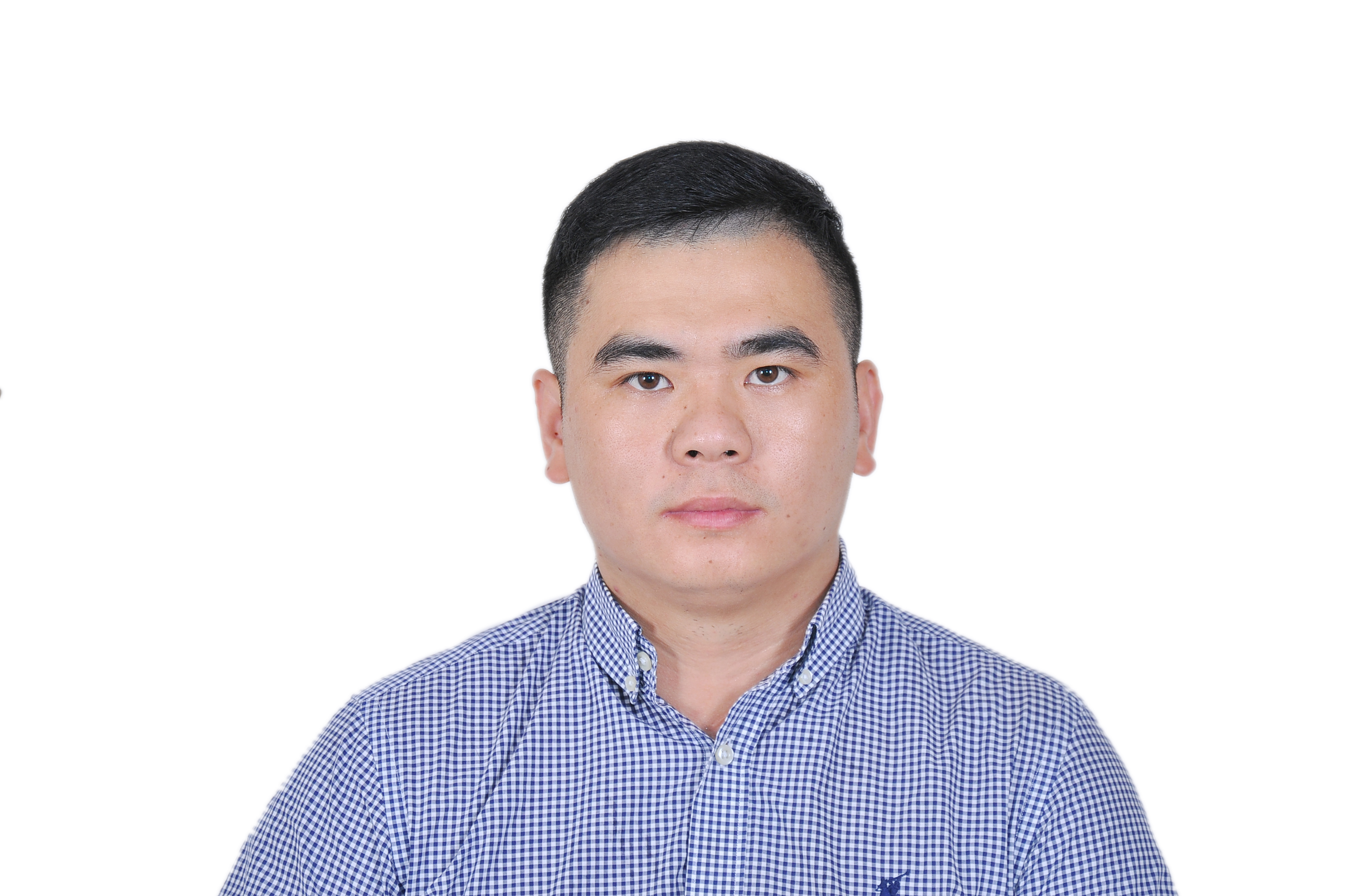 ������Ƭ