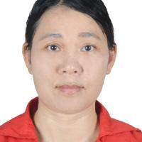 ������Ƭ