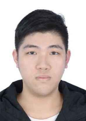 ������Ƭ