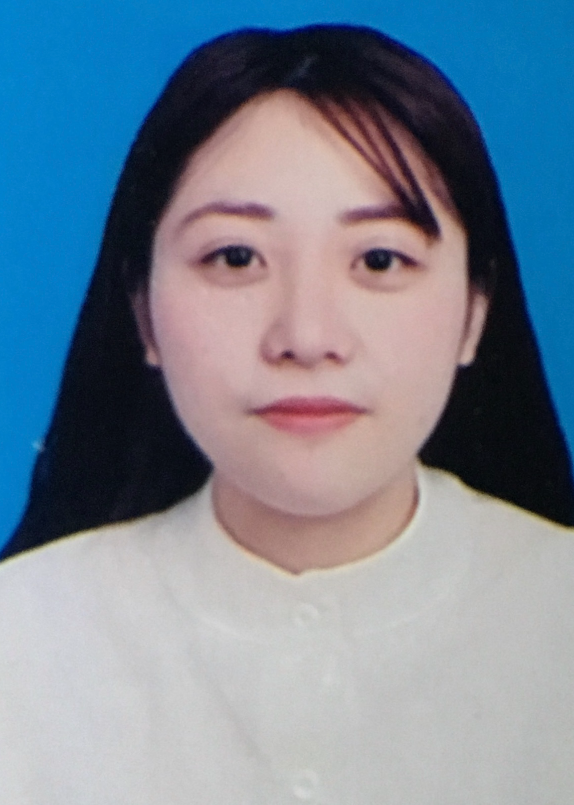 ������Ƭ